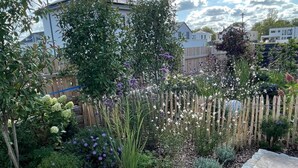Un jardín con diversas plantas y un camino pavimentado.