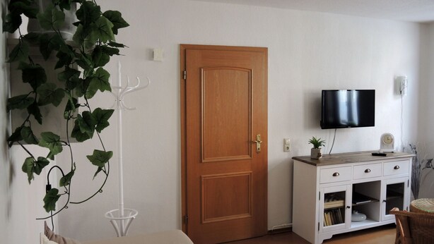 Une pièce avec une porte en bois, un téléviseur fixé au mur, un meuble blanc et une plante aux feuilles vertes.