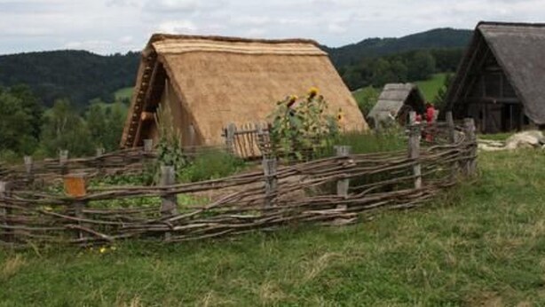 A rustic wooden cabin with a thatched roof, surrounded by a wooden fence and a small garden with flowers and a bird feeder. - Tamara in Eppenschlag by Interhome (Eppenschlag)