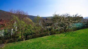 Un paysage rural avec une maison, des champs verdoyants et des arbres.