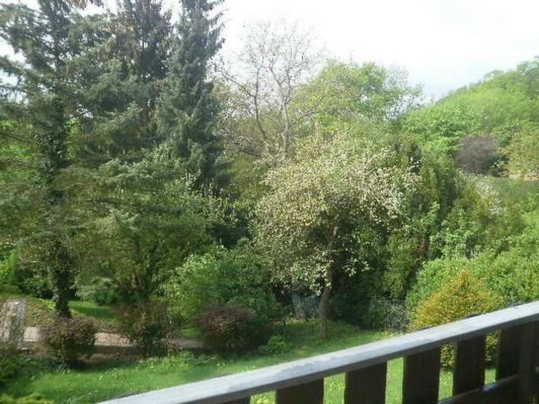 A lush garden with various trees and shrubs, a wooden fence, and a stone wall.