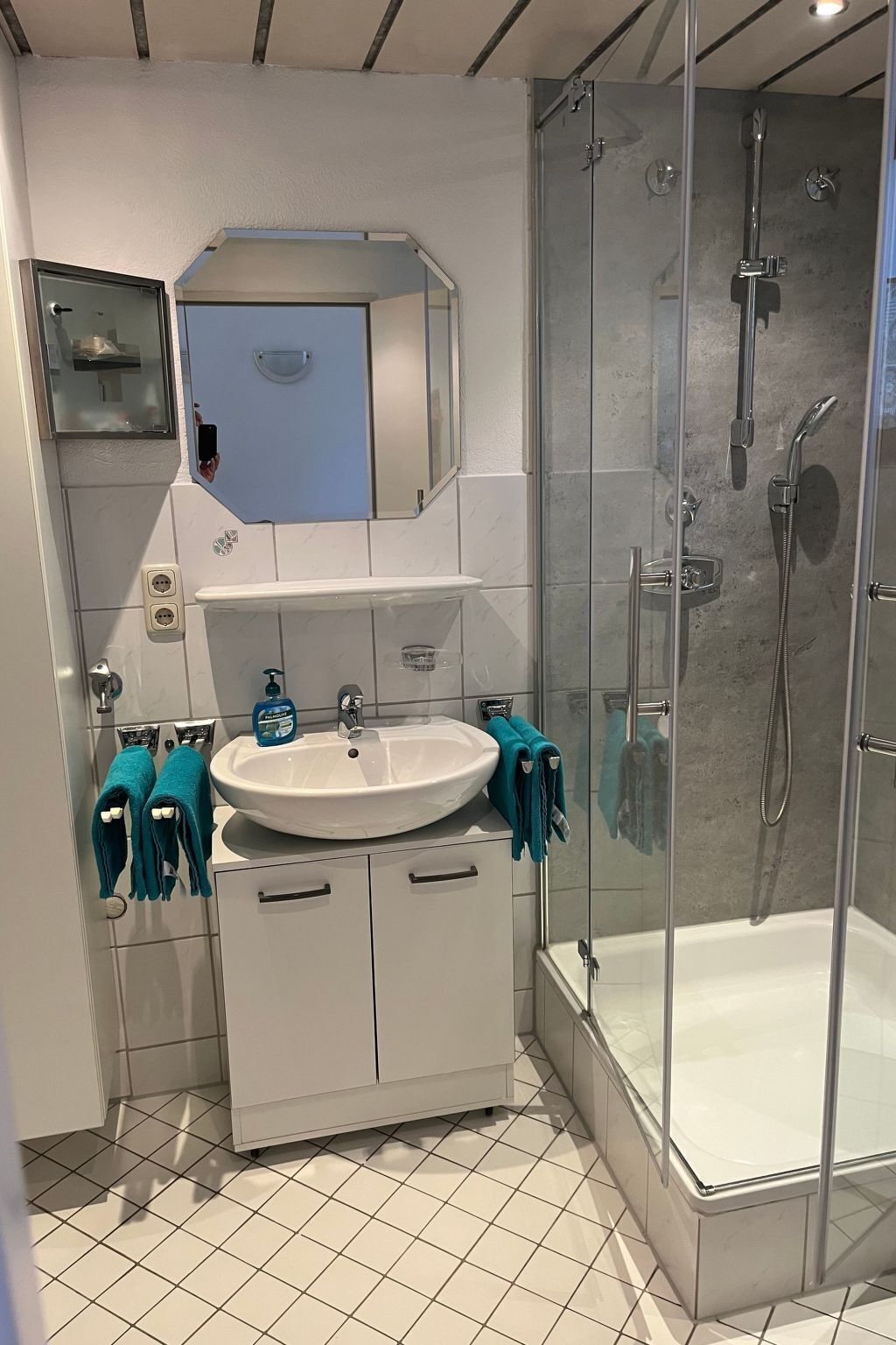 A modern bathroom with a glass-enclosed shower, a white sink, and a mirror above it.