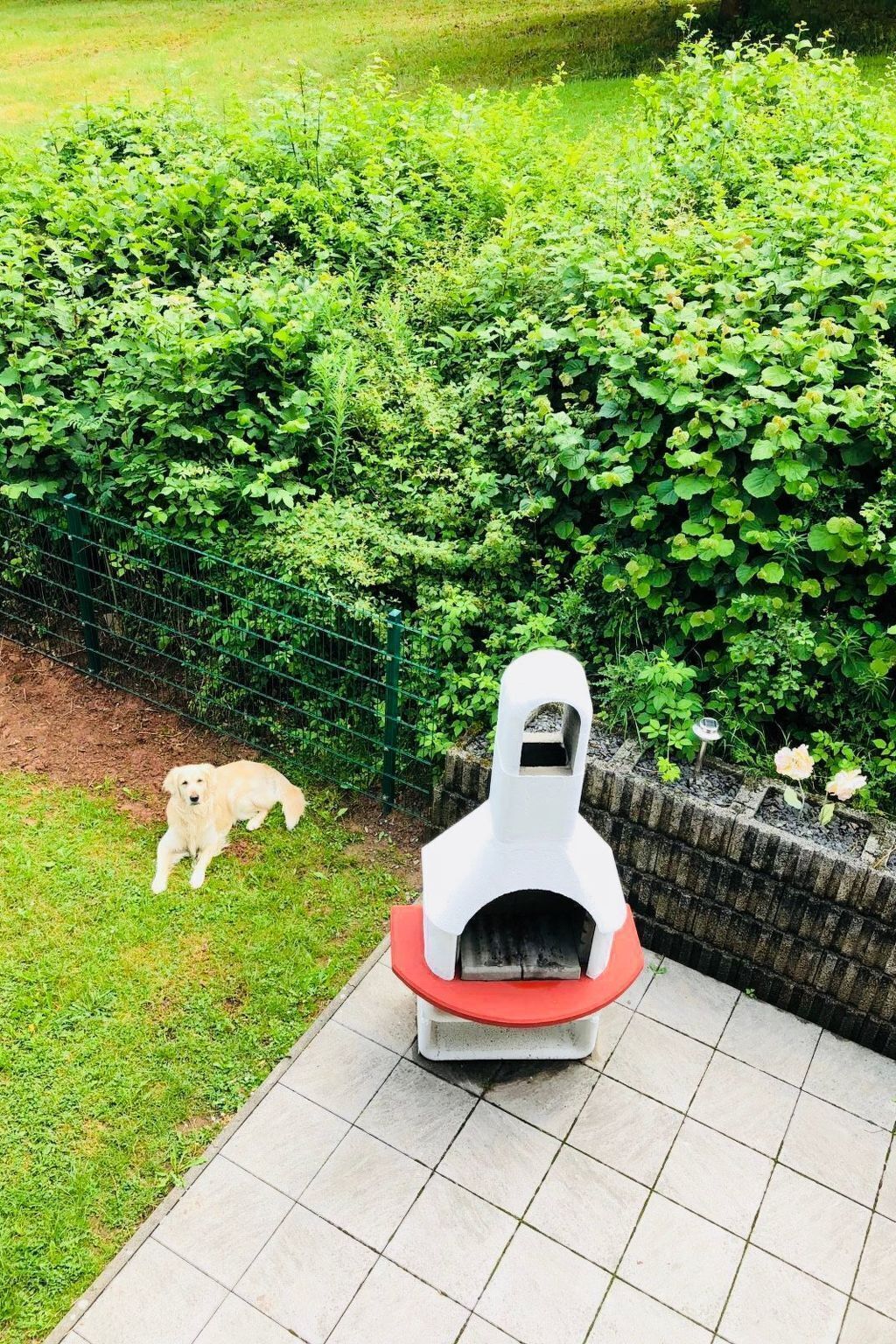 A brick oven barbecue in a garden with a dog nearby.