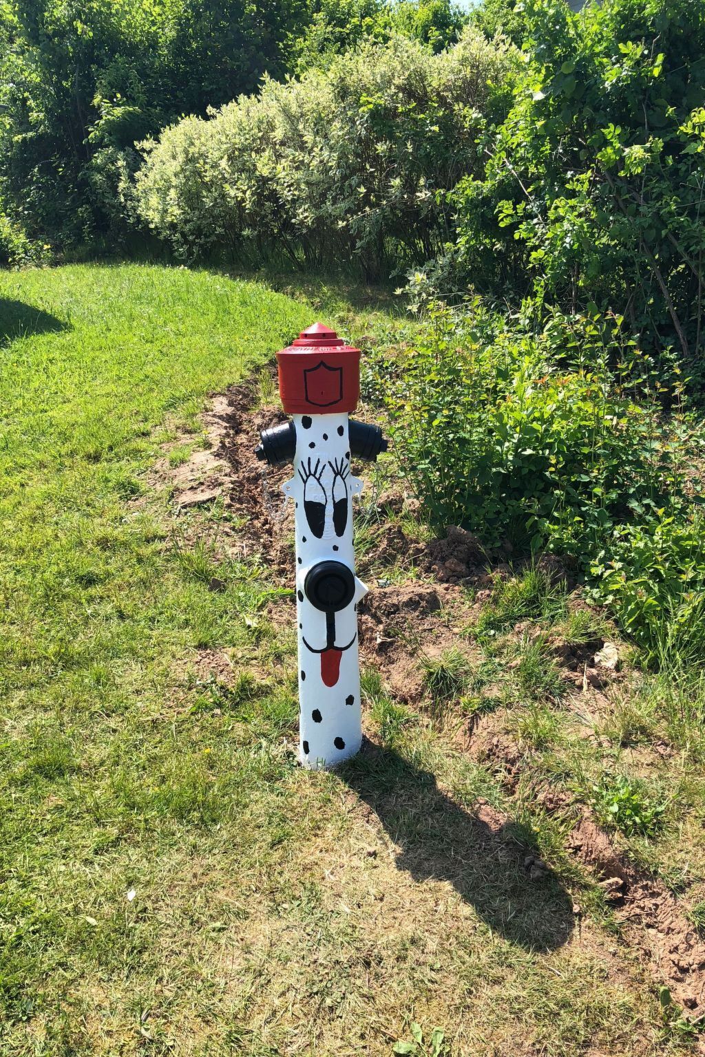 A fire hydrant painted like a Dalmatian dog with a red top, located on a grassy path with bushes in the background.