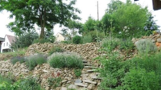 A garden with a stone wall, various plants, and a pathway. - Apartment Mund by Interhome (Dresden)