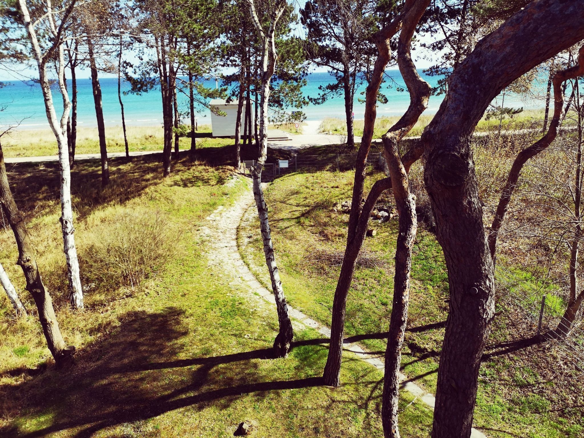 A pathway leading to a beach with trees and a clear view of the sea.