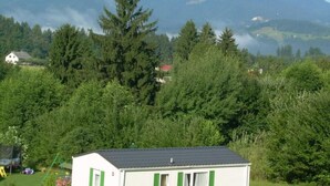 A small house with a sloped roof and green shutters, surrounded by dense trees and a mountain in the background. - Stacaravan Rozika Slowenien by Interhome (Slovenj Gradec)