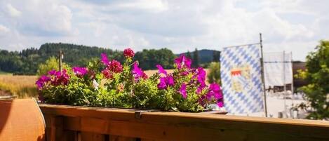 A wooden deck with a flower planter and a blue and white patterned awning in the background.