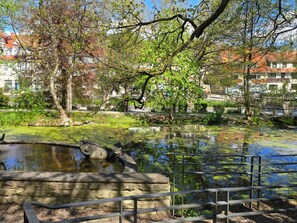 Property grounds - WALDLIEBE ♡ by Interhome (Bad Sachsa)