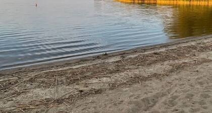 in Dahmen Terrasse und Grill by Interhome