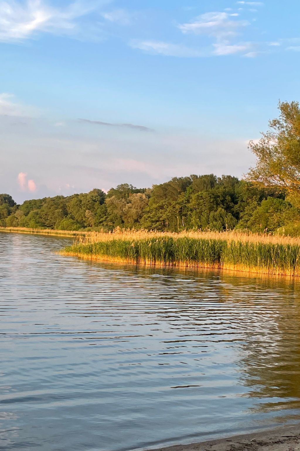 A calm river with a forested bank and a clear sky.
