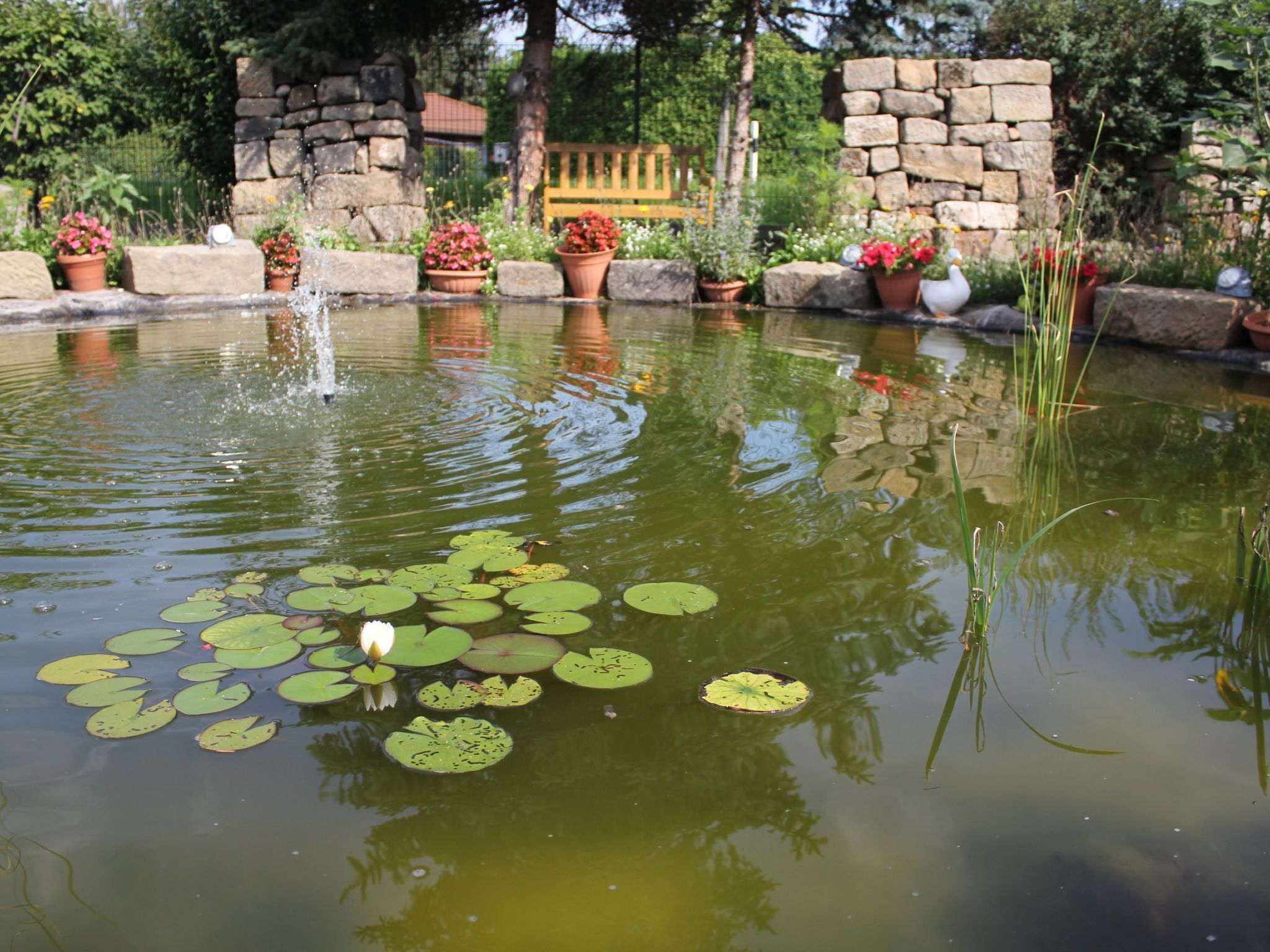 Overnattingsstedets uteområder