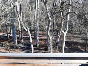 Ein bewaldetes Gebiet mit einem Holzweg.