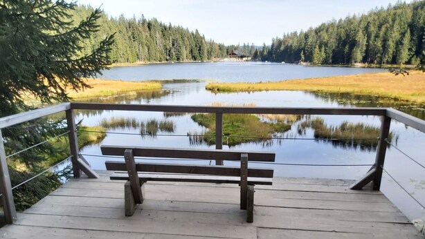Eine Holzbank auf einer Terrasse mit Blick auf einen See und eine bewaldete Uferlinie.