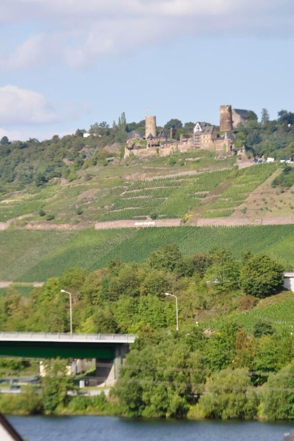 A castle on a hill with vineyards below. - Burgblick by Interhome (Löf)