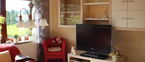 Televisio, DVD-soitin