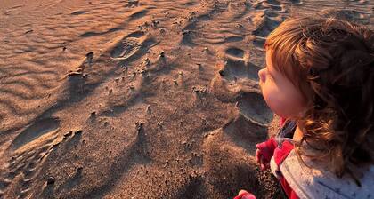 Domaine 5 chambres 10 personnes au bord du Lac-St-Jean plage privée CITQ319966