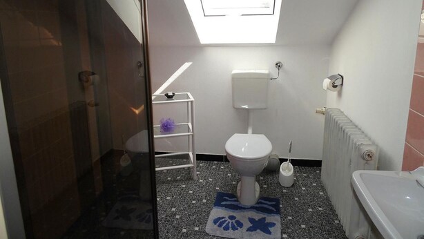 A compact bathroom with a skylight, a toilet, a radiator, and a small shelf with a purple item. - Vacation home Anna by Interhome (Issigau)