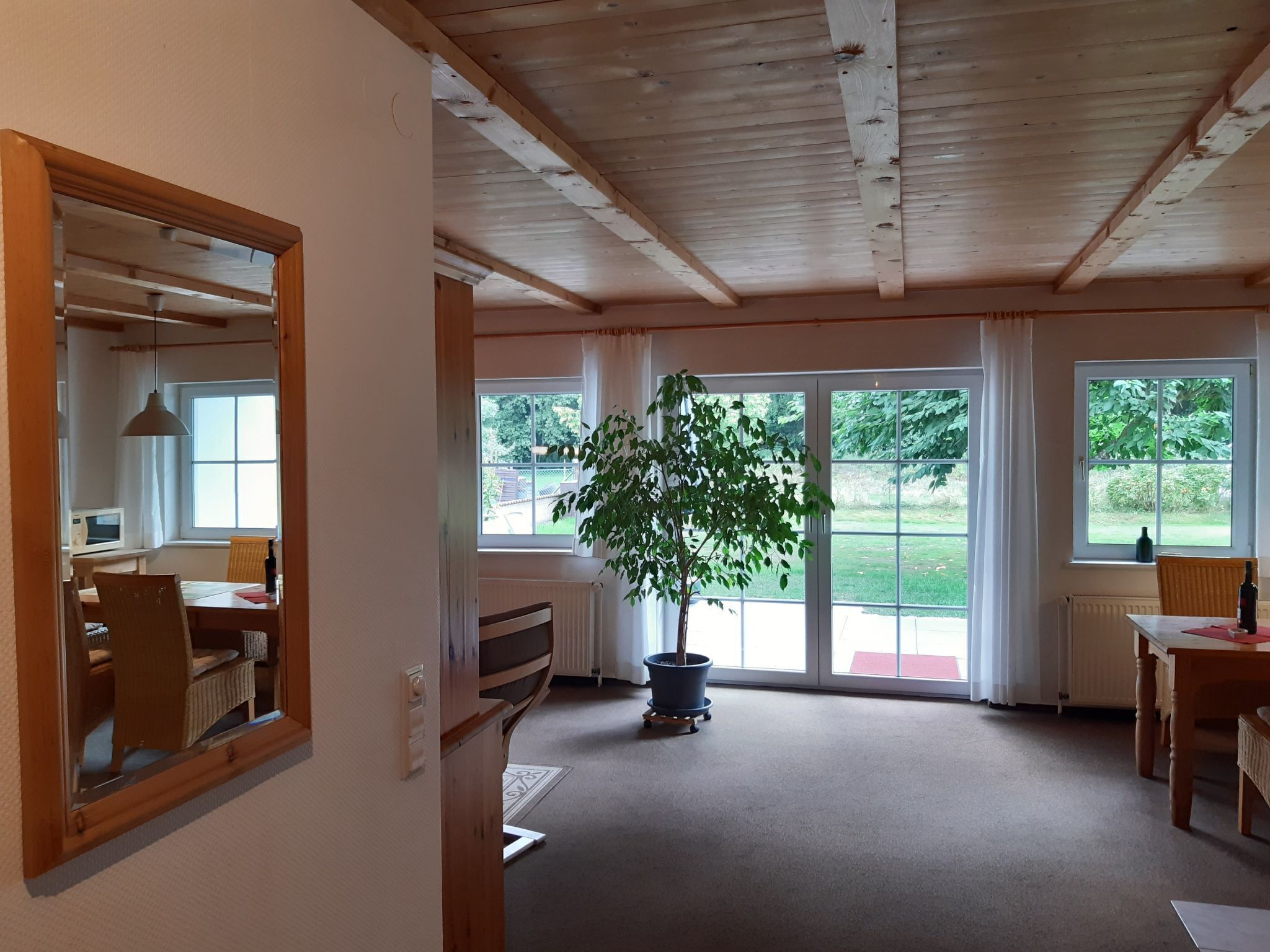 Ein geräumiges Zimmer mit großem Fenster, einem Blumentopf und Holzboden.