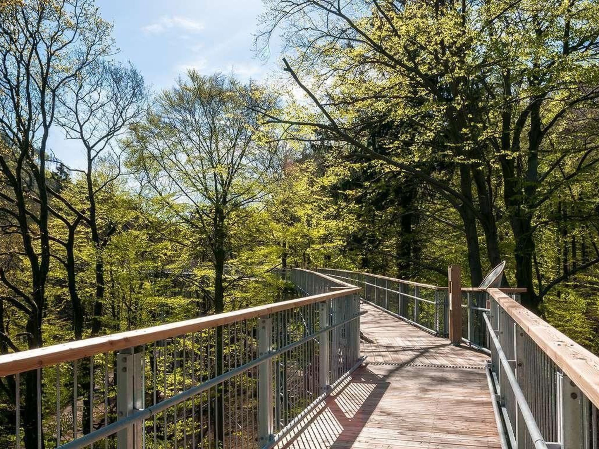 Eine Holzfußgängerbrücke mit Metallgeländern, umgeben von dichtem Baumbestand.