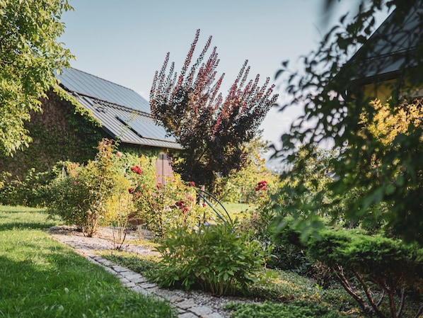 Terrain de lâhĂ©bergement
