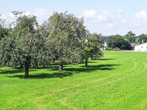 A grassy field with trees and a building in the background. - im Illertal by Interhome (Altenstadt)