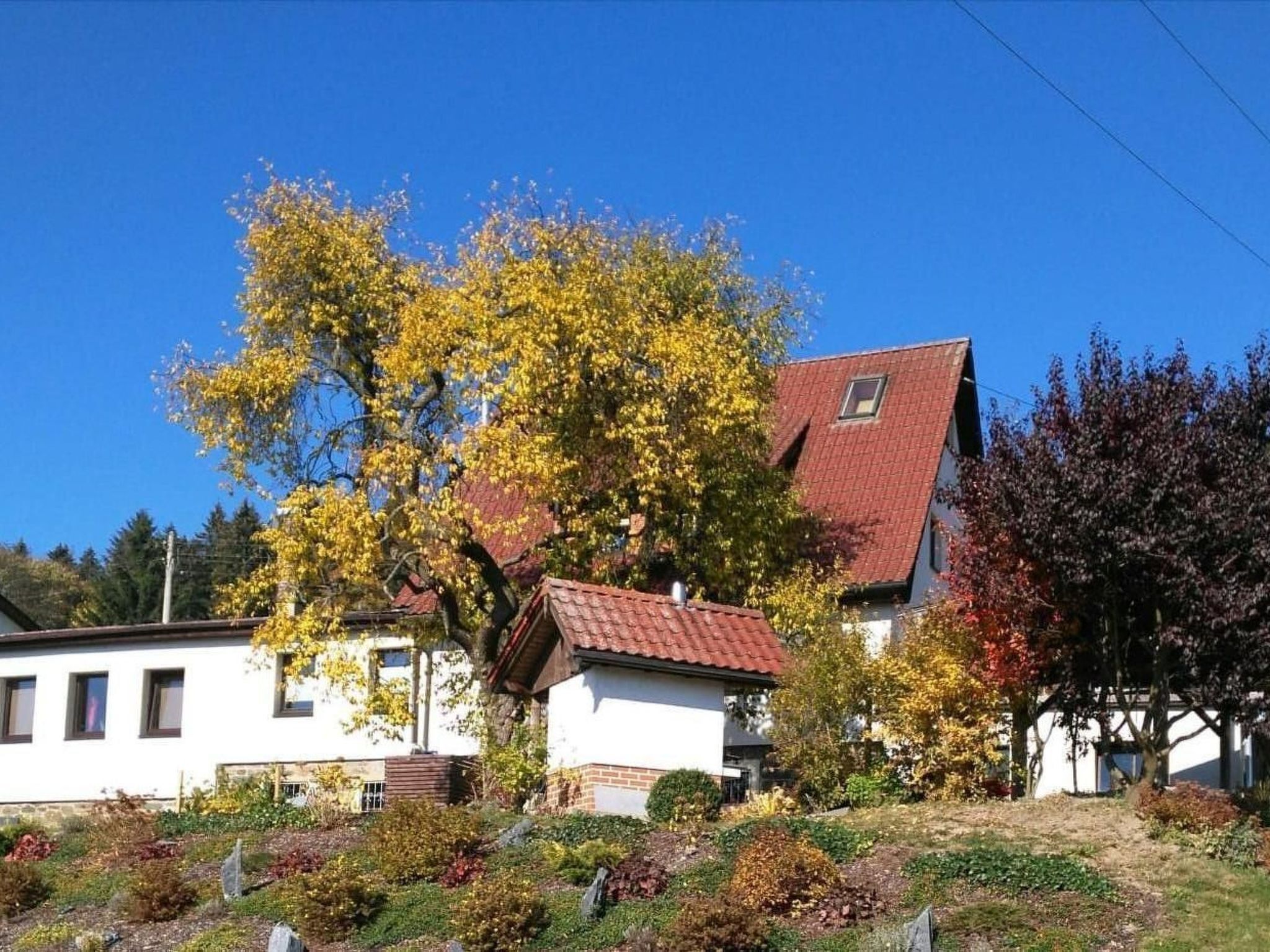 Uma casa tradicional com telhado de telhas vermelhas, rodeada por um jardim bem cuidado com diversas plantas e uma grande árvore com folhas amarelas.