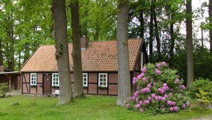 A traditional half-timbered house with a tiled roof, surrounded by lush greenery and flowering bushes. - im Fachwerkstil mit Sauna und Garten by Interhome (Thomasburg)