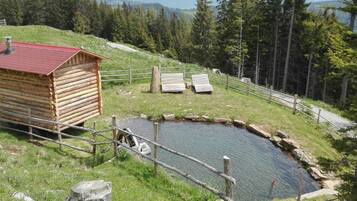 المنطقة المحيطة بالمنشأة