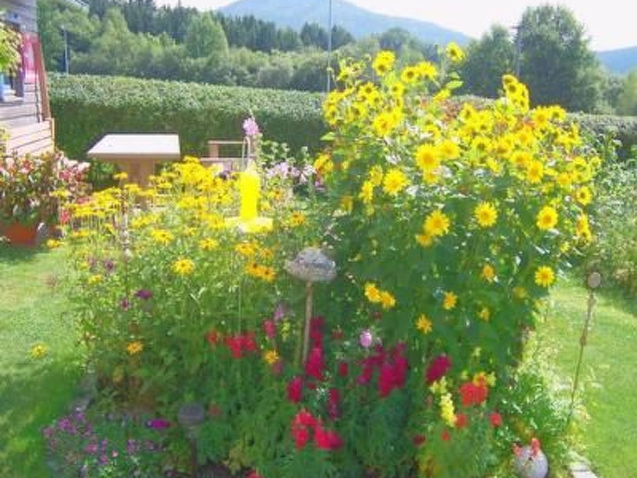 Áreas de la propiedad