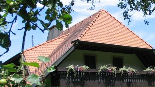 A traditional house with a steeply pitched roof, a balcony with hanging flower baskets, and a lush garden in front. - in Horben mit Großem Garten by Interhome (Horben)