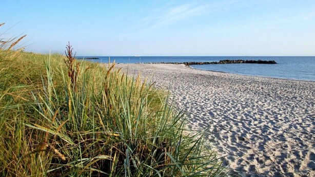 En sandstrand med græs i forgrunden og et roligt hav i baggrunden.