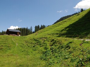 Property grounds - Bohemia 4 in Sankt Gallenkirch by Interhome (Gargellen)