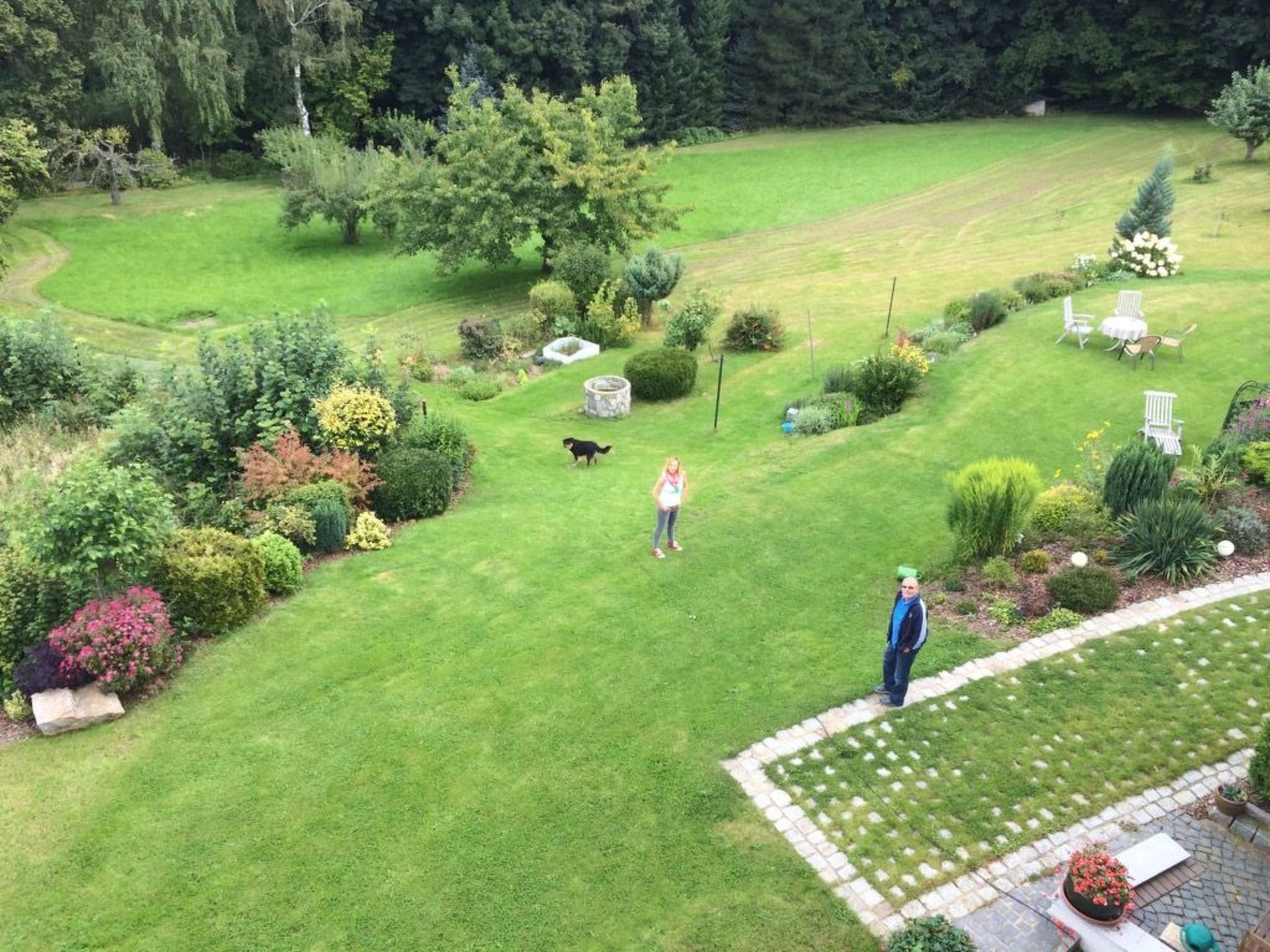 Ein gepflegter Garten mit Rasen, verschiedenen Sträuchern und einem Kiesweg.
