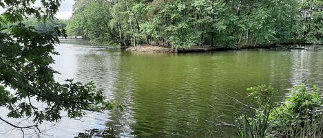 A calm river surrounded by dense greenery and trees.