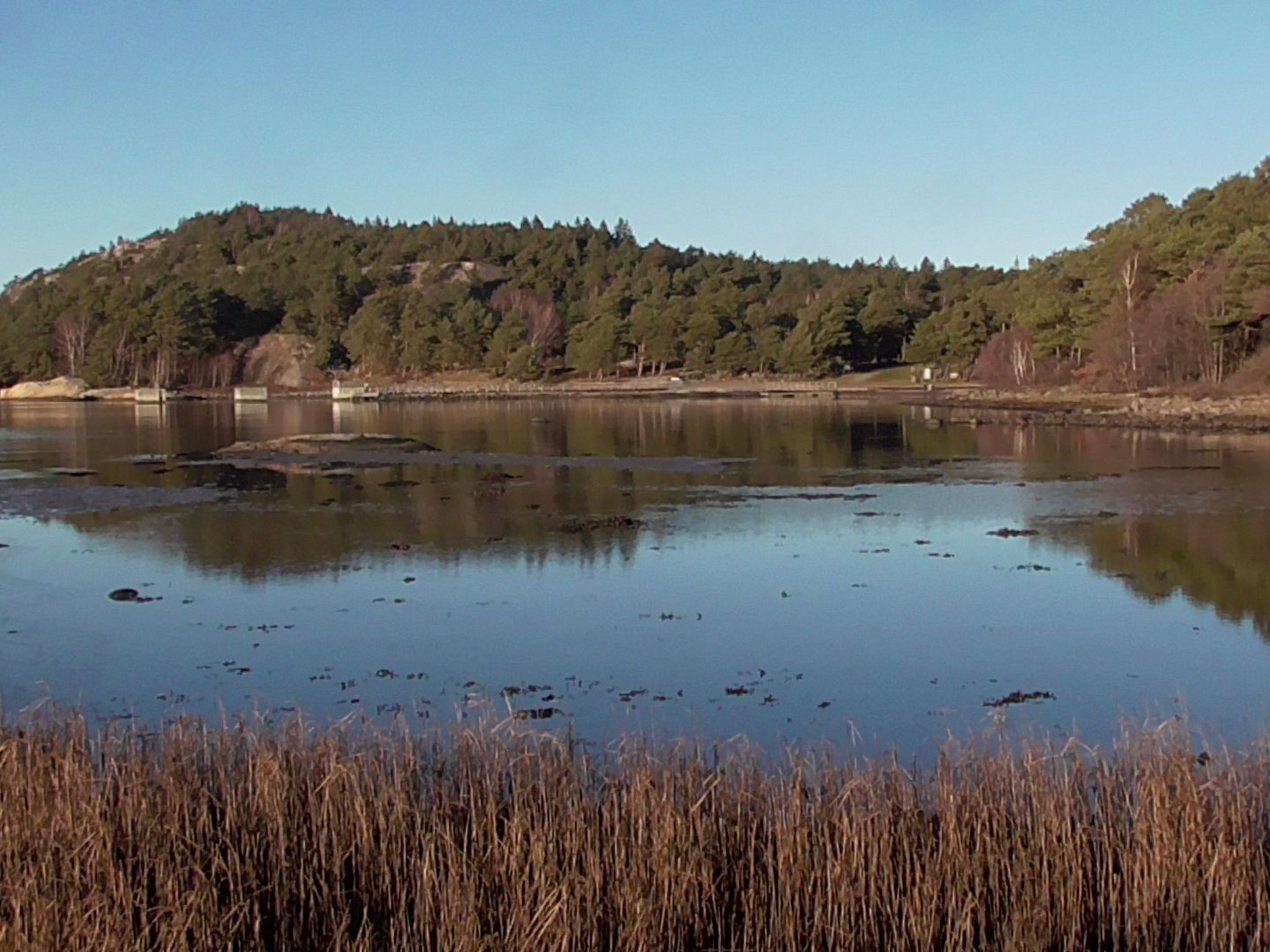 Un lago tranquilo con una ladera boscosa al fondo.