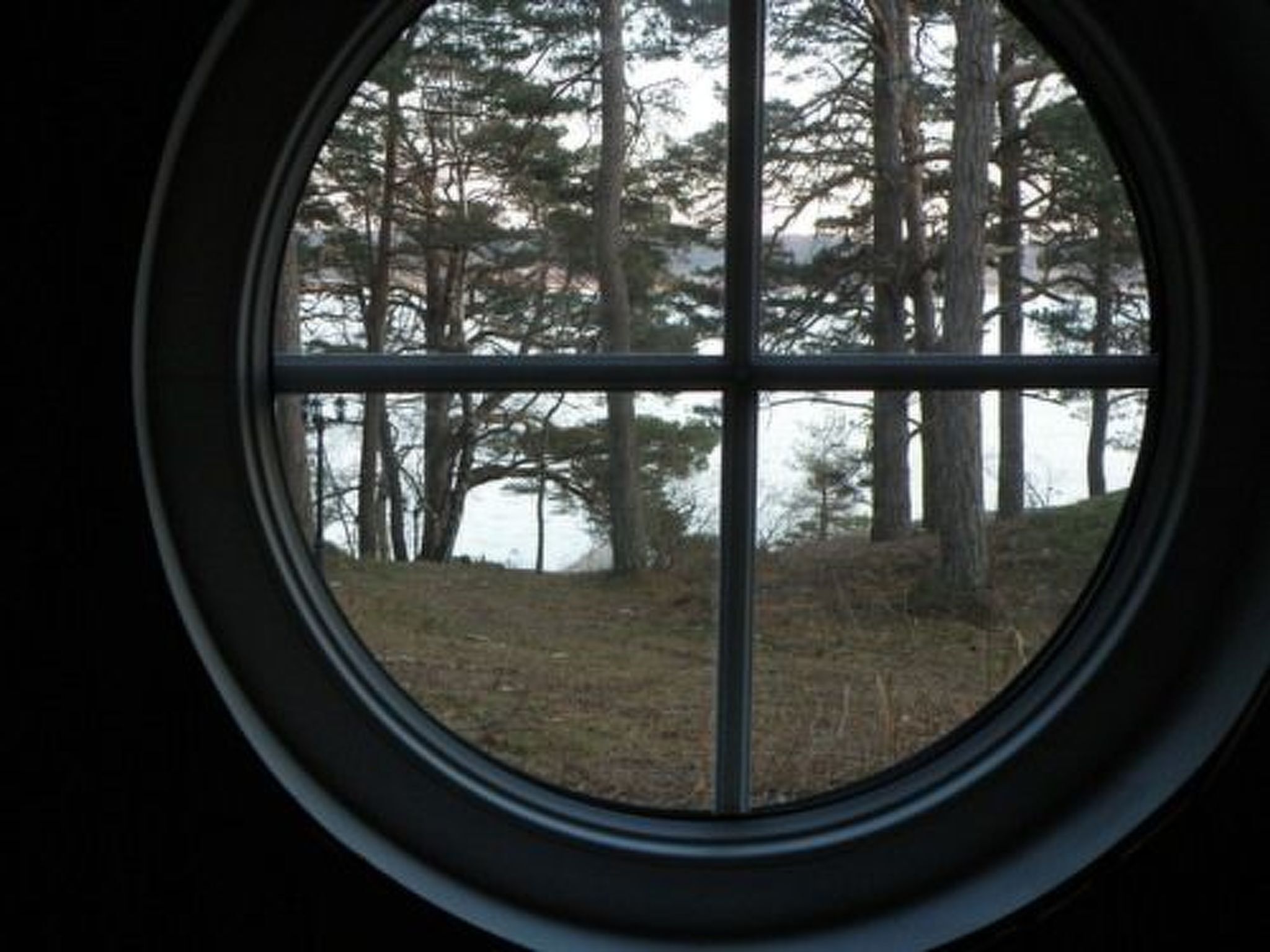 Una ventana con vistas a un área boscosa y un cuerpo de agua.
