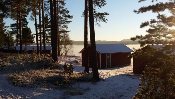 A cabin surrounded by tall trees and a snowy landscape.