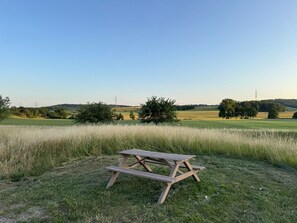 Une table de pique-nique dans un champ verdoyant, sous un ciel dégagé, avec des lignes électriques visibles au loin.