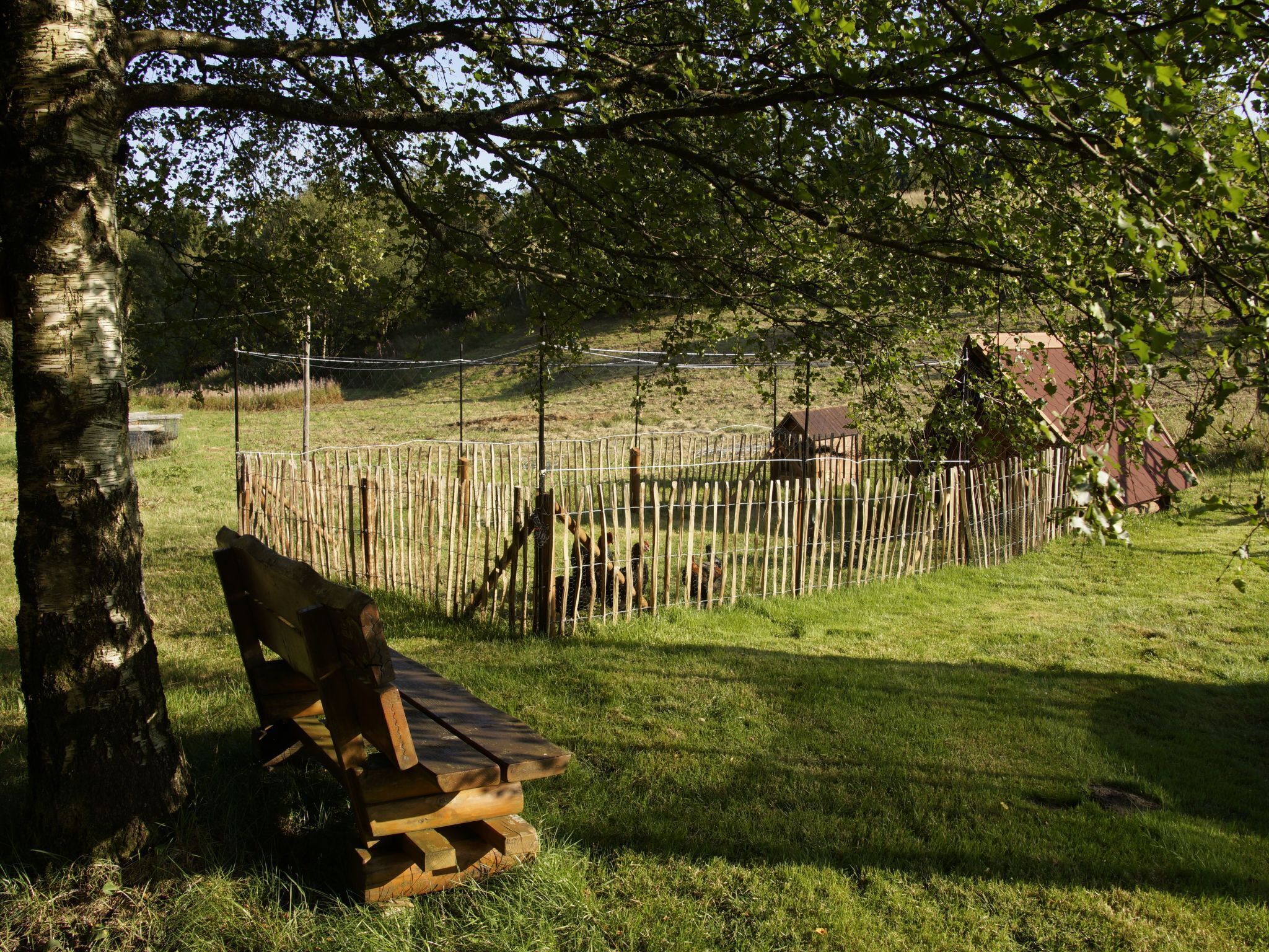Àrea exterior de l'allotjament
