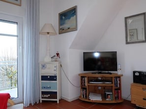 Televisio, DVD-soitin