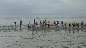 Un grupo de personas de pie en aguas poco profundas en una playa.