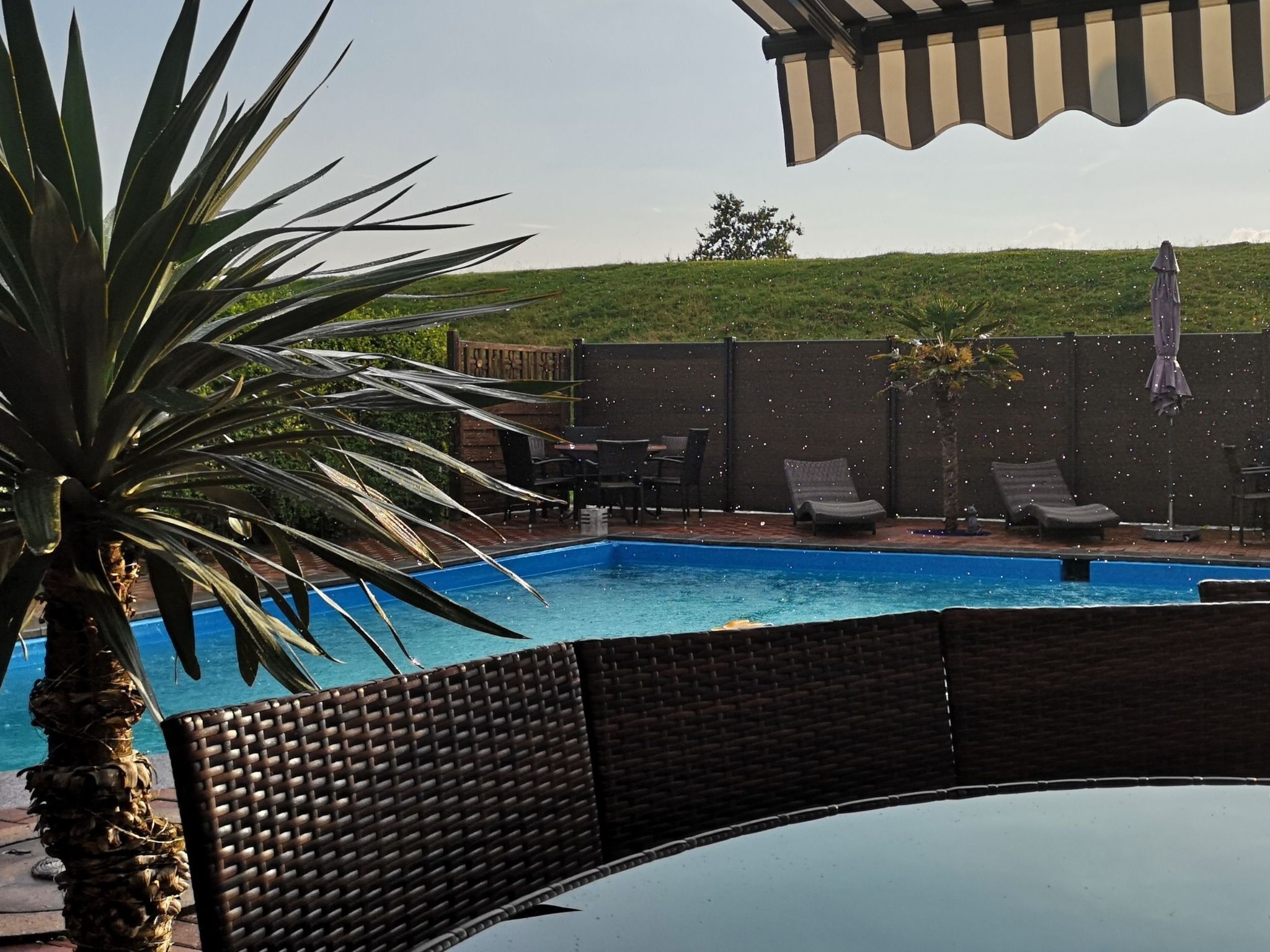 Una piscina con sillas de descanso y una palmera.