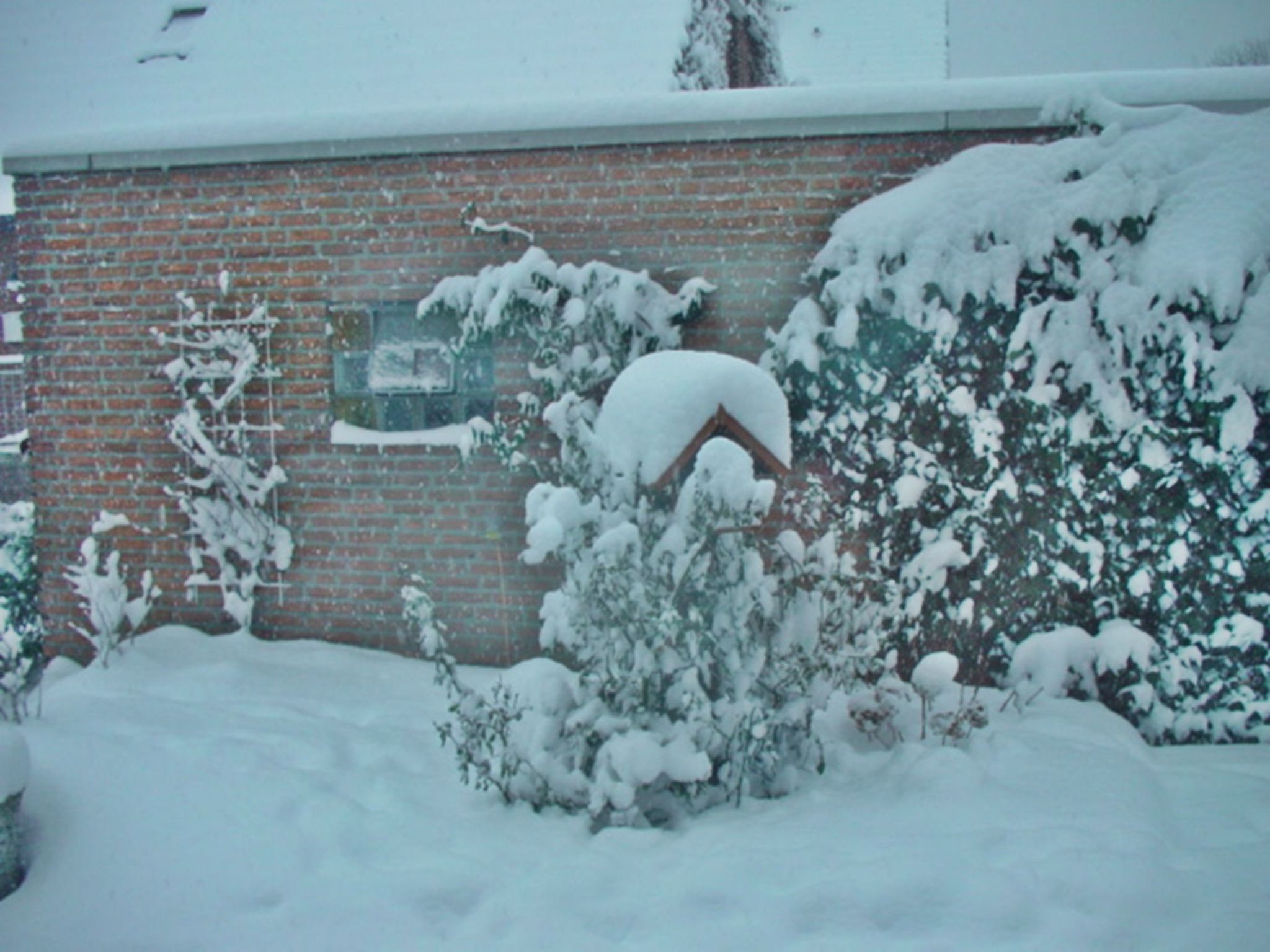 Un edificio de ladrillo con arbustos nevados y techo cubierto de nieve.