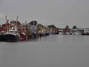 Marina - Apartment Minimi by Interhome (Büsum)