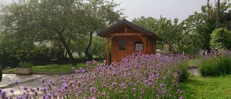 المنطقة المحيطة بالمنشأة