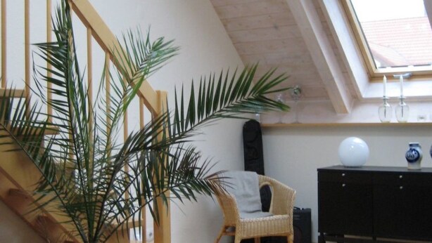 Un loft espacioso con techo alto, escalera de madera, una planta grande en maceta, sofá de cuero y alfombra de piel de vaca.