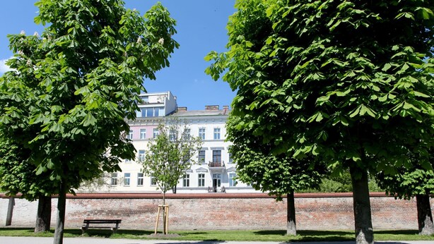 Een park met bomen, een bank en een bakstenen muur.