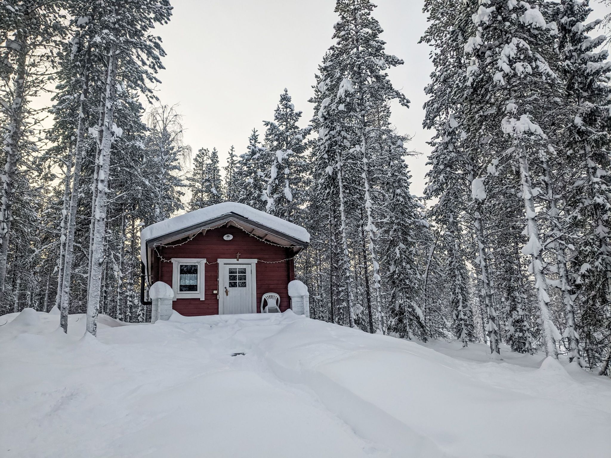 A red cabin surrounded by snow-covered trees.