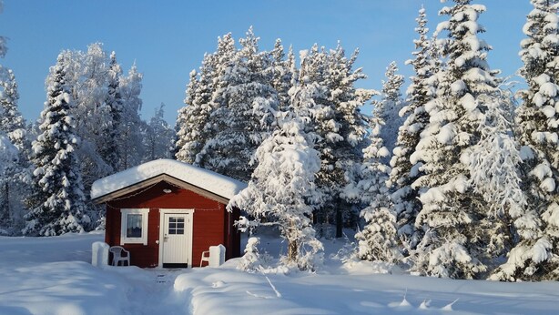 A red cabin surrounded by snow-covered trees. - Järvstuga by Interhome (Arvidsjaur)